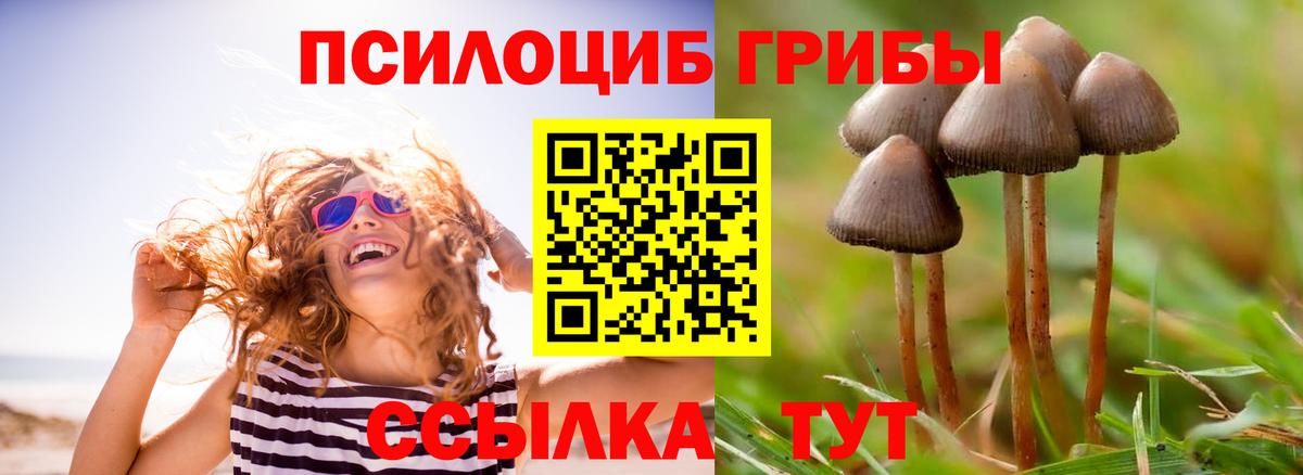 Богородицк  Псилоцибиновые грибы GOLDEN TEACHER  Псилоцибиновые грибы мицелий  Вход с VPN 